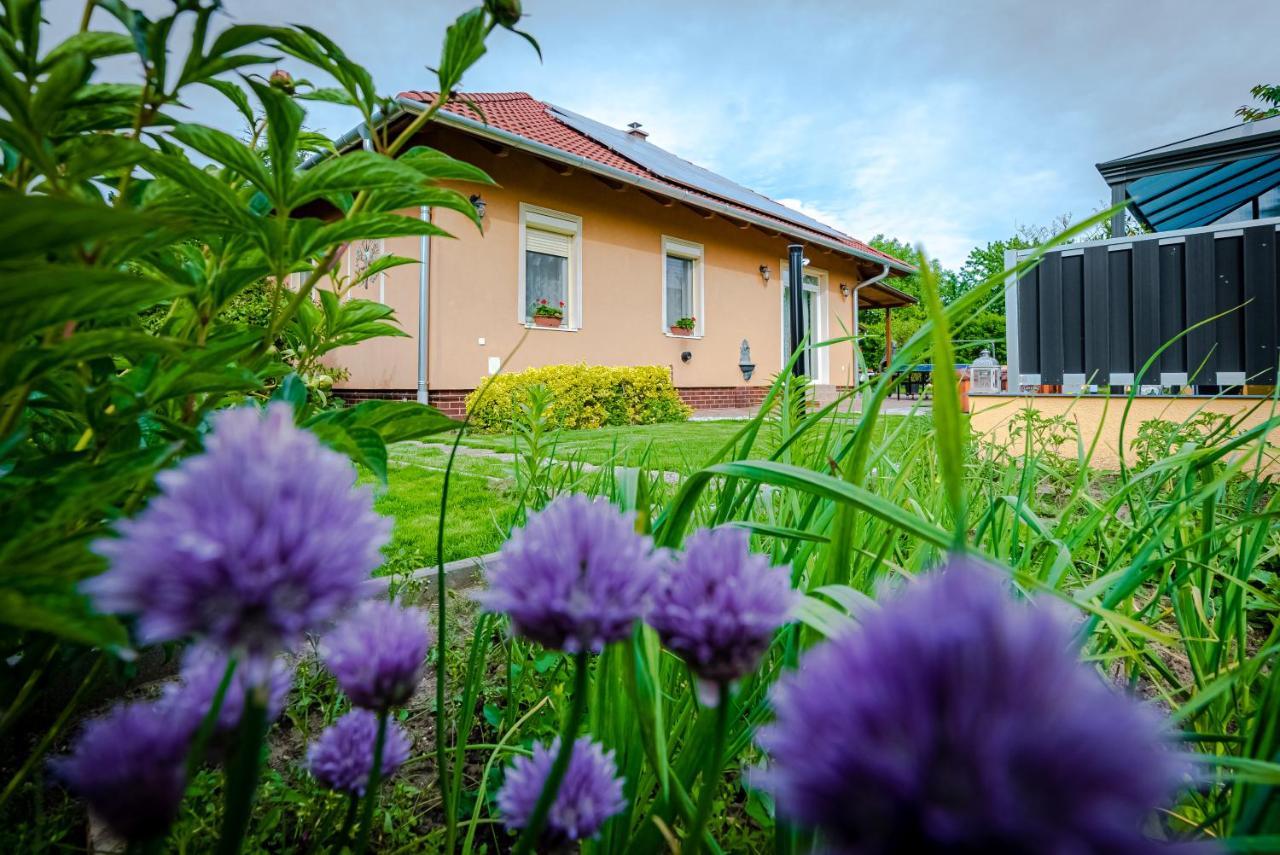 Sunny Garden Pihenohaz Villa Siofok Luaran gambar