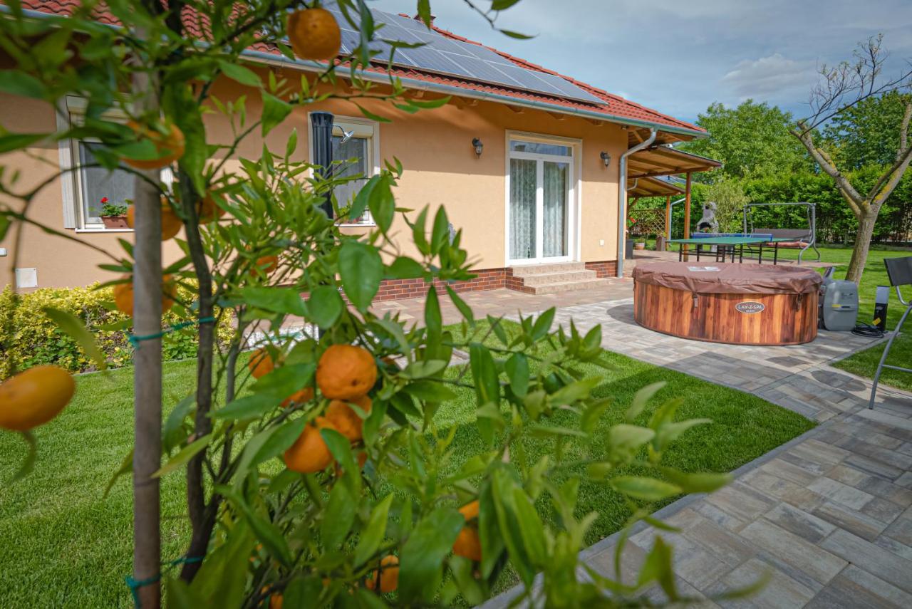 Sunny Garden Pihenohaz Villa Siofok Luaran gambar